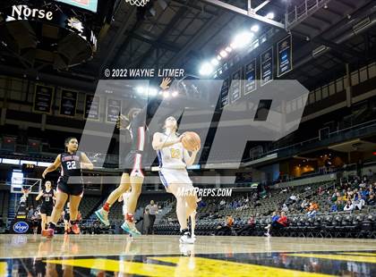 Thumbnail 3 in Ludlow vs Newport Central Catholic (9th region quarterfinals) photogallery.