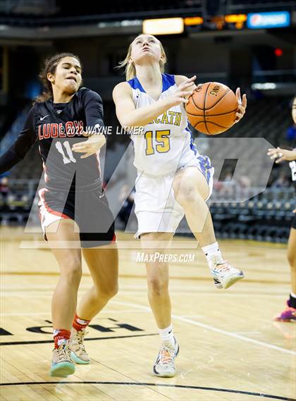 Thumbnail 1 in Ludlow vs Newport Central Catholic (9th region quarterfinals) photogallery.