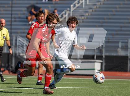 Thumbnail 2 in Palo Verde vs Coronado (NIAA 5A Southern Region Championship) photogallery.