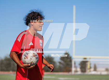 Thumbnail 2 in Palo Verde vs Coronado (NIAA 5A Southern Region Championship) photogallery.