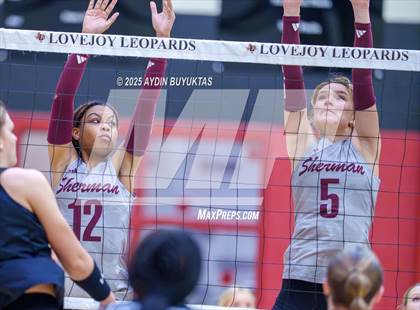 Thumbnail 1 in Sherman @ Lovejoy photogallery.