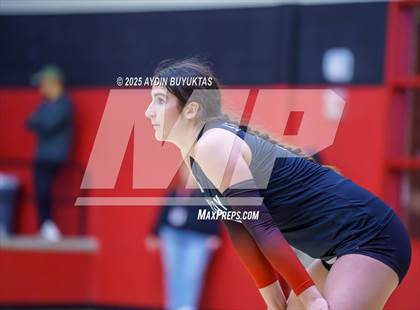 Thumbnail 1 in Sherman @ Lovejoy photogallery.