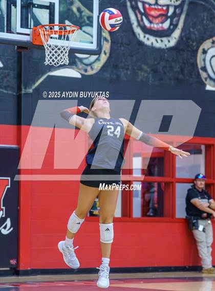 Thumbnail 3 in Sherman @ Lovejoy photogallery.