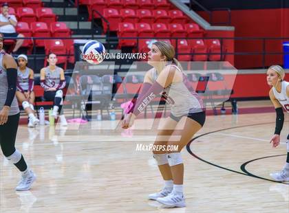 Thumbnail 1 in Sherman @ Lovejoy photogallery.