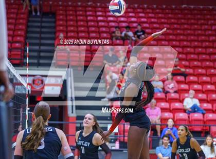 Thumbnail 1 in Sherman @ Lovejoy photogallery.