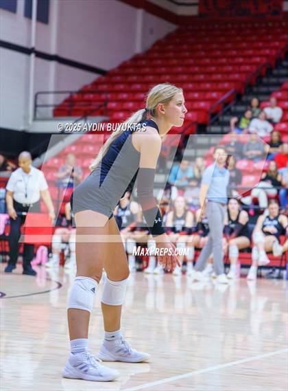 Thumbnail 1 in Sherman @ Lovejoy photogallery.