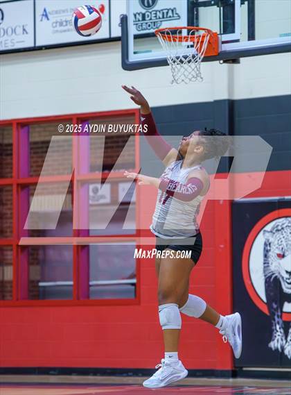 Thumbnail 3 in Sherman @ Lovejoy photogallery.
