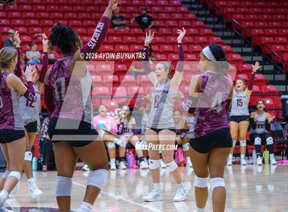 Thumbnail 2 in Sherman @ Lovejoy photogallery.