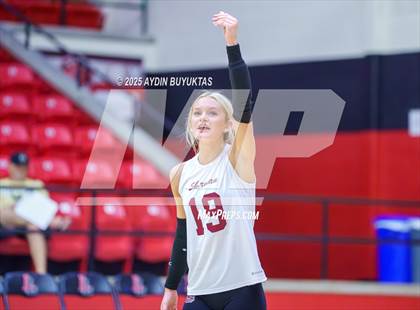 Thumbnail 2 in Sherman @ Lovejoy photogallery.