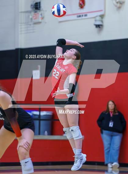 Thumbnail 3 in Sherman @ Lovejoy photogallery.