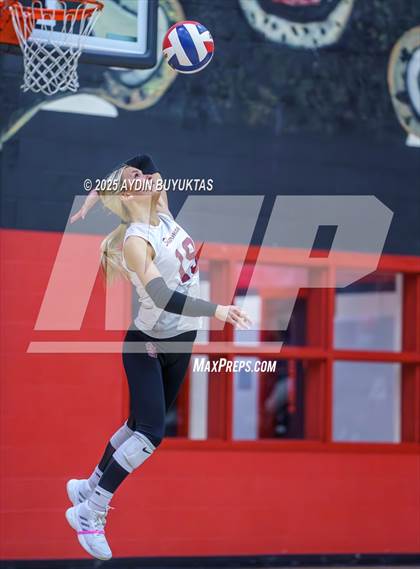 Thumbnail 1 in Sherman @ Lovejoy photogallery.