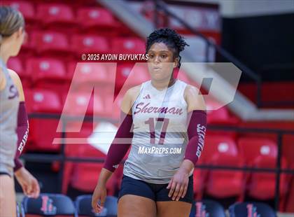 Thumbnail 2 in Sherman @ Lovejoy photogallery.