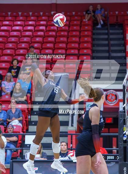 Thumbnail 2 in Sherman @ Lovejoy photogallery.