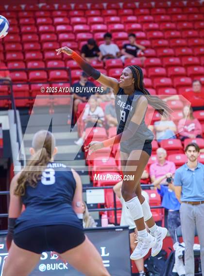 Thumbnail 1 in Sherman @ Lovejoy photogallery.