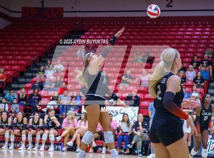 Thumbnail 2 in Sherman @ Lovejoy photogallery.
