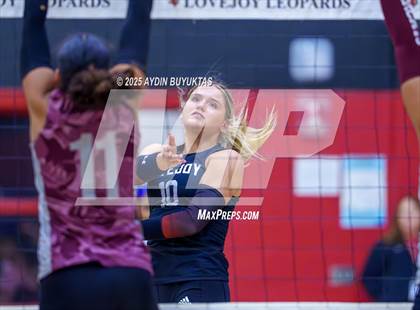 Thumbnail 3 in Sherman @ Lovejoy photogallery.