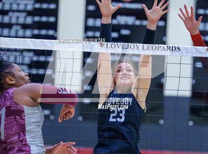 Thumbnail 2 in Sherman @ Lovejoy photogallery.