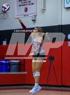 Photo from the gallery "Sherman @ Lovejoy"