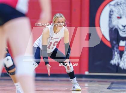 Thumbnail 3 in Sherman @ Lovejoy photogallery.