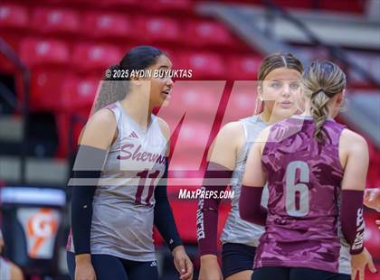 Thumbnail 3 in Sherman @ Lovejoy photogallery.