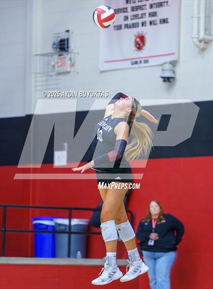Thumbnail 2 in Sherman @ Lovejoy photogallery.