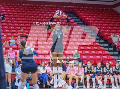 Thumbnail 1 in Sherman @ Lovejoy photogallery.