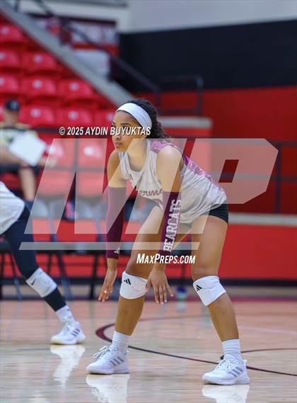 Thumbnail 3 in Sherman @ Lovejoy photogallery.