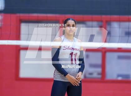 Thumbnail 2 in Sherman @ Lovejoy photogallery.