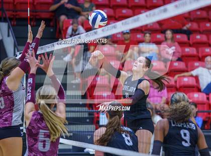 Thumbnail 2 in Sherman @ Lovejoy photogallery.