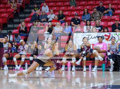Thumbnail 3 in Sherman @ Lovejoy photogallery.