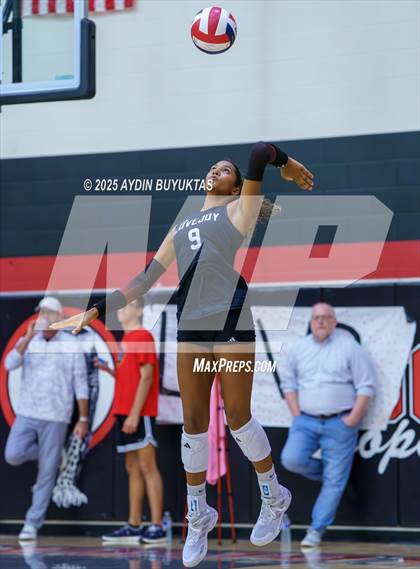Thumbnail 2 in Sherman @ Lovejoy photogallery.