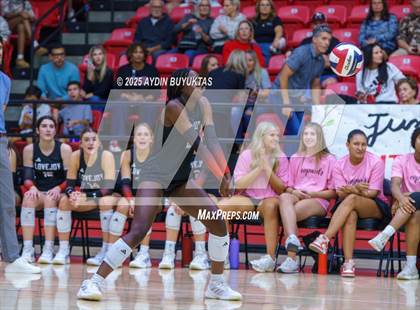Thumbnail 1 in Sherman @ Lovejoy photogallery.