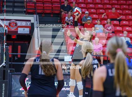 Thumbnail 1 in Sherman @ Lovejoy photogallery.