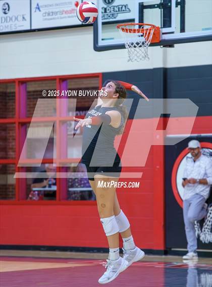 Thumbnail 3 in Sherman @ Lovejoy photogallery.