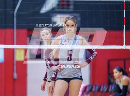 Thumbnail 1 in Sherman @ Lovejoy photogallery.
