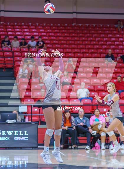 Thumbnail 1 in Sherman @ Lovejoy photogallery.