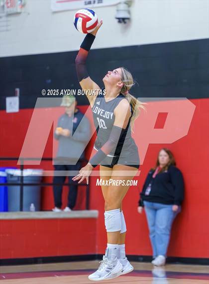 Thumbnail 3 in Sherman @ Lovejoy photogallery.
