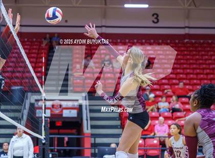 Thumbnail 1 in Sherman @ Lovejoy photogallery.