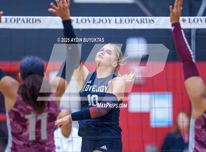 Thumbnail 2 in Sherman @ Lovejoy photogallery.