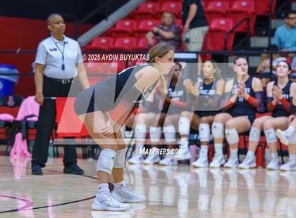 Thumbnail 3 in Sherman @ Lovejoy photogallery.