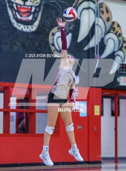 Thumbnail 2 in Sherman @ Lovejoy photogallery.