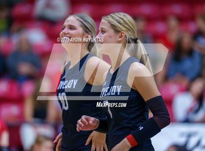 Thumbnail 3 in Sherman @ Lovejoy photogallery.