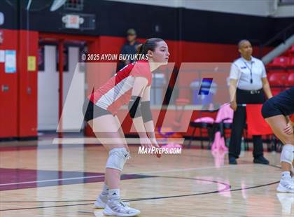 Thumbnail 1 in Sherman @ Lovejoy photogallery.