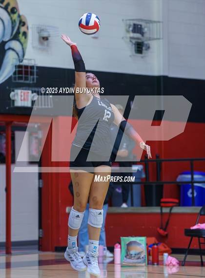 Thumbnail 2 in Sherman @ Lovejoy photogallery.