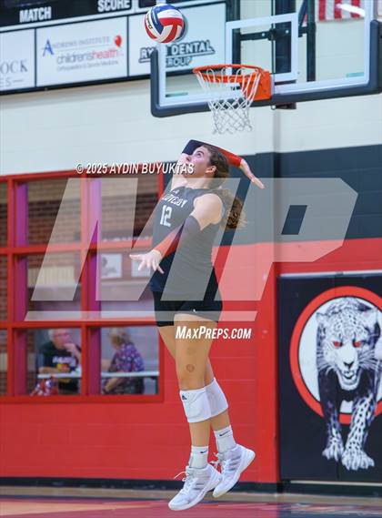 Thumbnail 1 in Sherman @ Lovejoy photogallery.