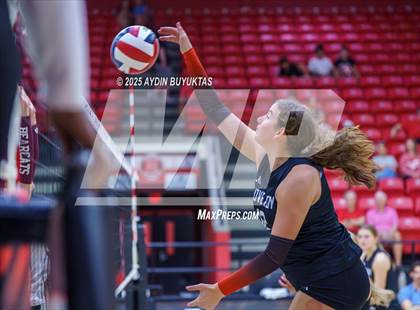 Thumbnail 3 in Sherman @ Lovejoy photogallery.