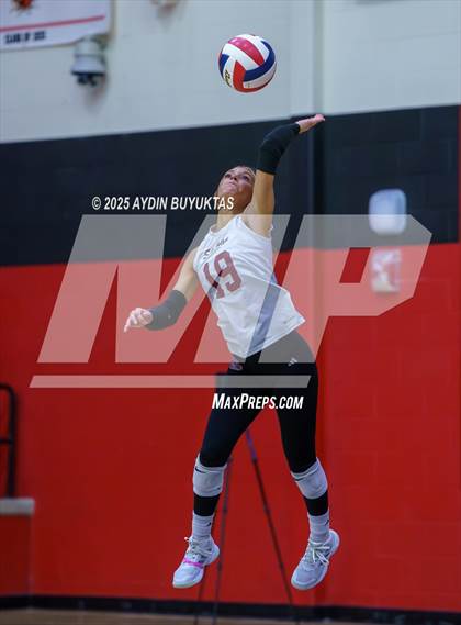 Thumbnail 2 in Sherman @ Lovejoy photogallery.