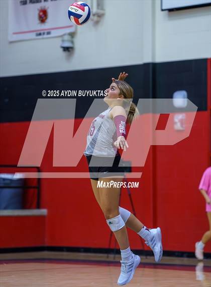 Thumbnail 1 in Sherman @ Lovejoy photogallery.