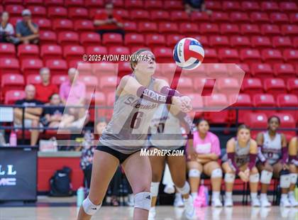 Thumbnail 1 in Sherman @ Lovejoy photogallery.