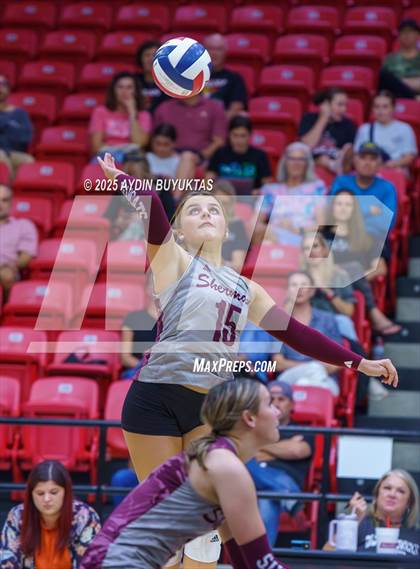 Thumbnail 3 in Sherman @ Lovejoy photogallery.